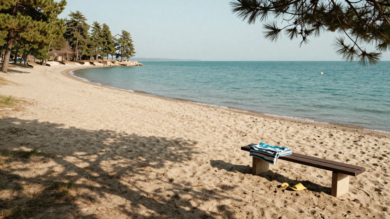 Куда поехать на море из Москвы: лучшие направления 2026 года