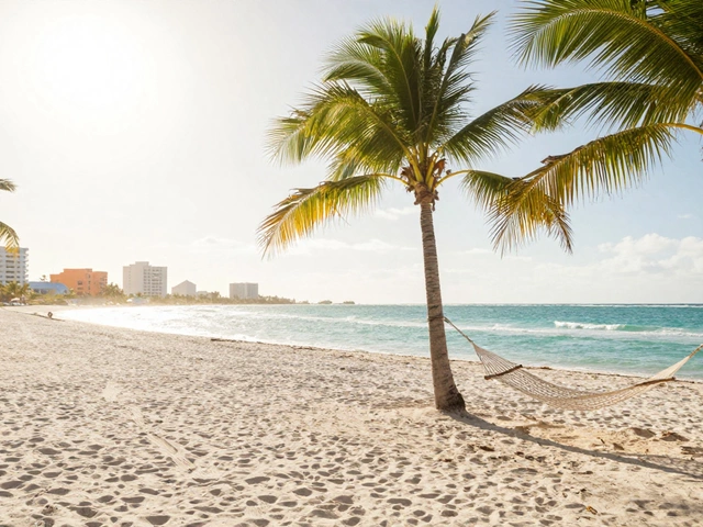 В каких штатах США тропический климат?