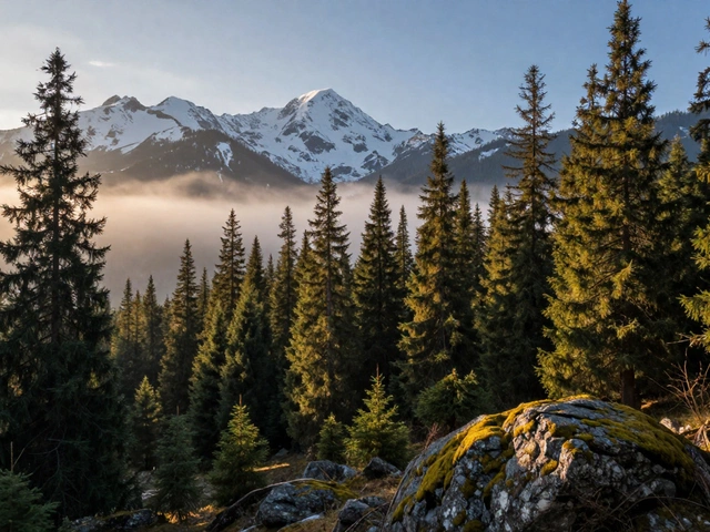 Как попасть в заповедник: правила посещения и особенности экологических зон в 2026 году